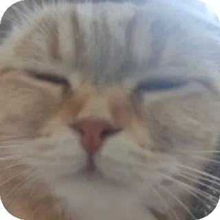 ☺ emoji пи Telegram sticker 6 of 18