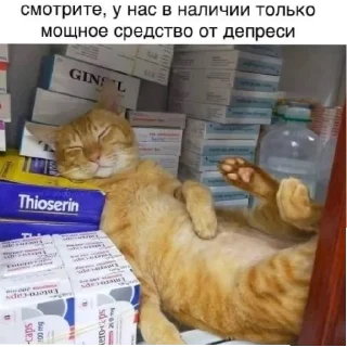 Sticker from Китики