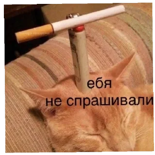 🤫 emoji Китики Telegram sticker 7 of 20