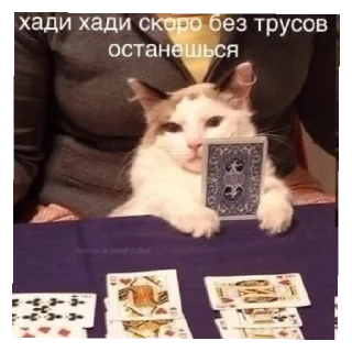 😄 emoji Китики Telegram sticker 6 of 20