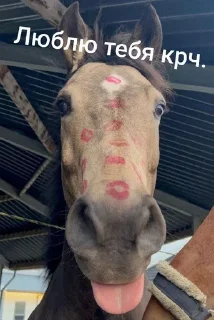 Sticker from Пипец#снег