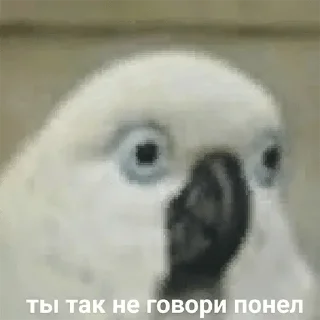 😠 emoji стикеры-хуикеры — @stckrRobot Telegram sticker 13 of 120