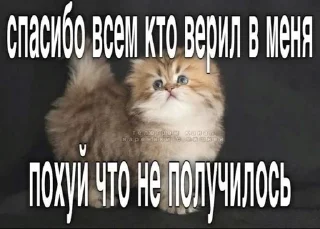 🥨 emoji Я смешон Telegram sticker 22 of 47