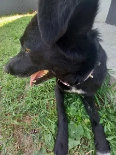 Sticker from Любимки!💋