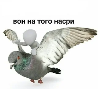 Sticker from shishkacvami