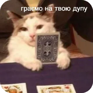 🐱 emoji Набор Telegram sticker 10 of 120