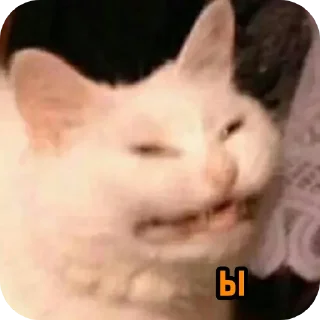 🤲 emoji Набор Telegram sticker 19 of 120