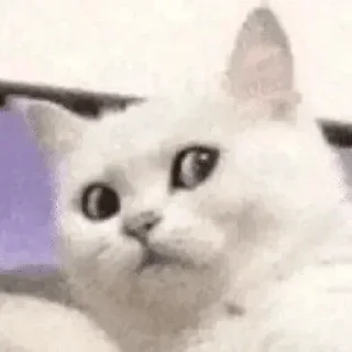 😐 emoji DRAP OG Telegram sticker 10 of 120