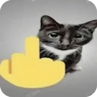 🐱 emoji @stiki_tg_nah_canal Telegram sticker 22 of 30
