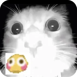 😳 emoji @stiki_tg_nah_canal Telegram sticker 21 of 30