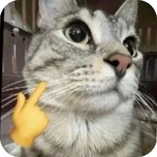 😎 emoji @stiki_tg_nah_canal Telegram sticker 6 of 30
