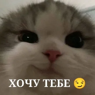😏 emoji Магістерка крінжі 2.0 by @Muvila Telegram sticker 20 of 120