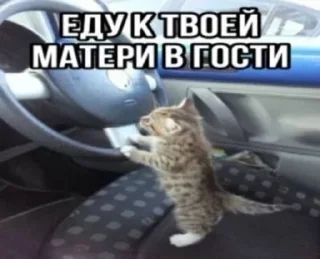 ❤️ emoji Улям мин уже скоро уфала Telegram sticker 5 of 61