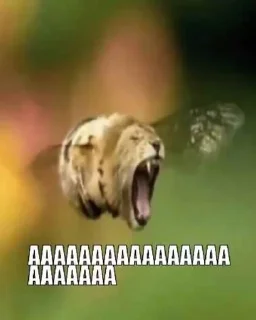 😬 emoji Улям мин уже скоро уфала Telegram sticker 15 of 61