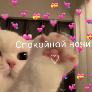 💗 emoji Я дед инсайд Telegram sticker 5 of 23