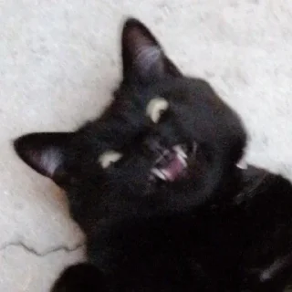 👾 emoji Травушка Telegram sticker 24 of 83