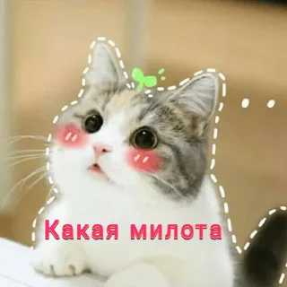 😍 emoji From @Llcloud Telegram sticker 12 of 120