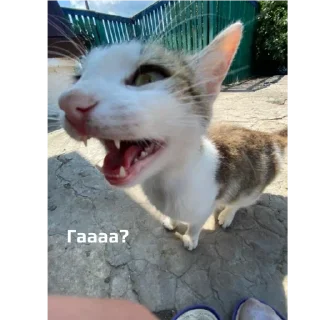 😄 emoji Травушка Telegram sticker 16 of 83