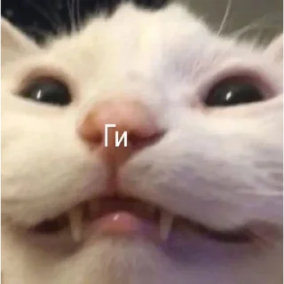 😸 emoji Травушка Telegram sticker 9 of 83
