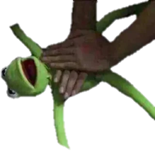 😂 emoji Frog Telegram sticker 16 of 30