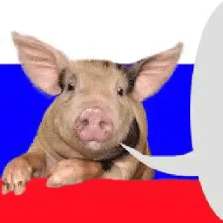 🐷 emoji Wow jokes) Telegram sticker 1 of 35