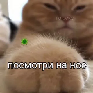☺️ emoji Набор говна Telegram sticker 18 of 48