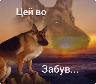 Sticker from цей во... @solovyy