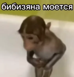 Sticker from БОЛЬШЕ ⇨ @CLOOBHUB ОБЕЗЬЯНЫ СТИКЕРЫ MONKEYS TG ТГ