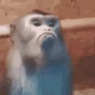 🐒 emoji Хорошие обезьяны — @stckrRobot Telegram sticker 17 of 27