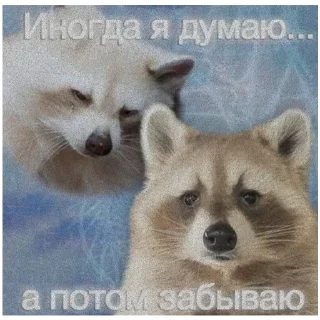 🍔 emoji Лучьше стикеры - @lovesticers Telegram sticker 21 of 31
