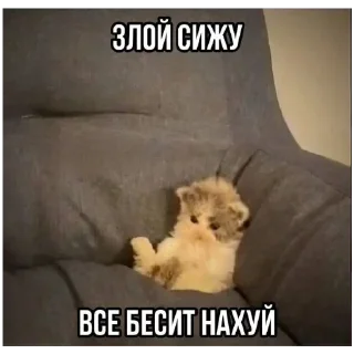 🍔 emoji Лучьше стикеры - @lovesticers Telegram sticker 18 of 31