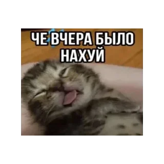 🍔 emoji Лучьше стикеры - @lovesticers Telegram sticker 11 of 31