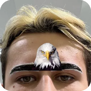 🦅 emoji Stickers 1✨🤍 (♡Emma♡) Telegram sticker 6 of 120