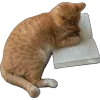 🌟 emoji любимые вещи Telegram sticker 9 of 40