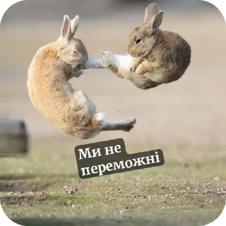 💪 emoji Стікер пак 5А Telegram sticker 6 of 15