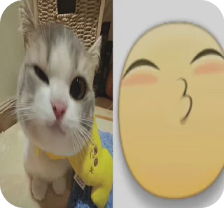 🌟 emoji мили котеке Telegram sticker 9 of 23