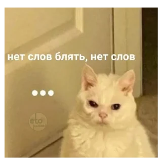 😐 emoji слишком жиза для жизы Telegram sticker 12 of 70