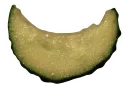 😎 emoji Cucumber Essentials Telegram sticker 23 of 28
