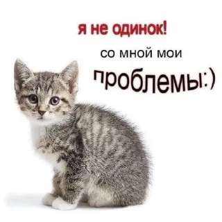 🥲 emoji °¢°€=©×€°¥¶¢ Telegram sticker 19 of 45