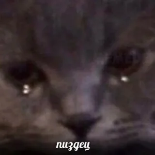 😔 emoji °¢°€=©×€°¥¶¢ Telegram sticker 10 of 45