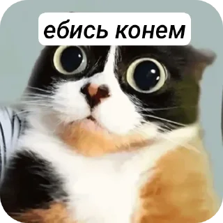 Sticker from гамно