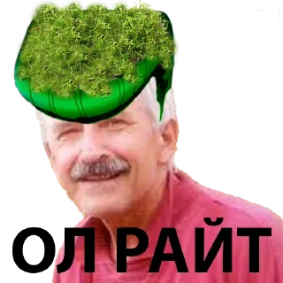 👍 emoji Kazakhstan Telegram sticker 3 of 98