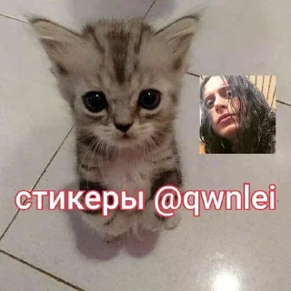 🌟 emoji рори мой муж. @qwnlei Telegram sticker 22 of 38