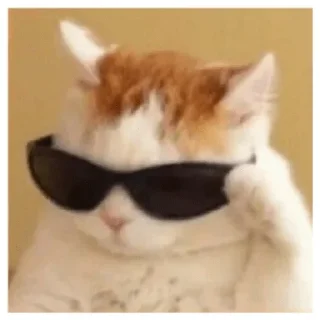 😼 emoji Мемасики Telegram sticker 8 of 81