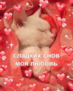 🌟 emoji Заходит как-то Полина в бар Telegram sticker 10 of 24