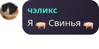 🐖 emoji Общежитие номер 10 pack by @QuotLyBot Telegram sticker 12 of 105