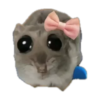 🎀 emoji грустный хомяк Telegram sticker 14 of 30