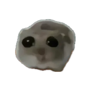 🐹 emoji грустный хомяк Telegram sticker 15 of 30