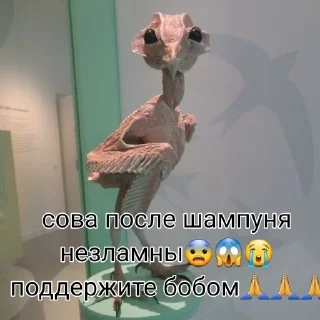 🧴 emoji СОВА Telegram sticker 21 of 24
