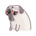 🙄 emoji Water Pug Telegram sticker 24 of 31